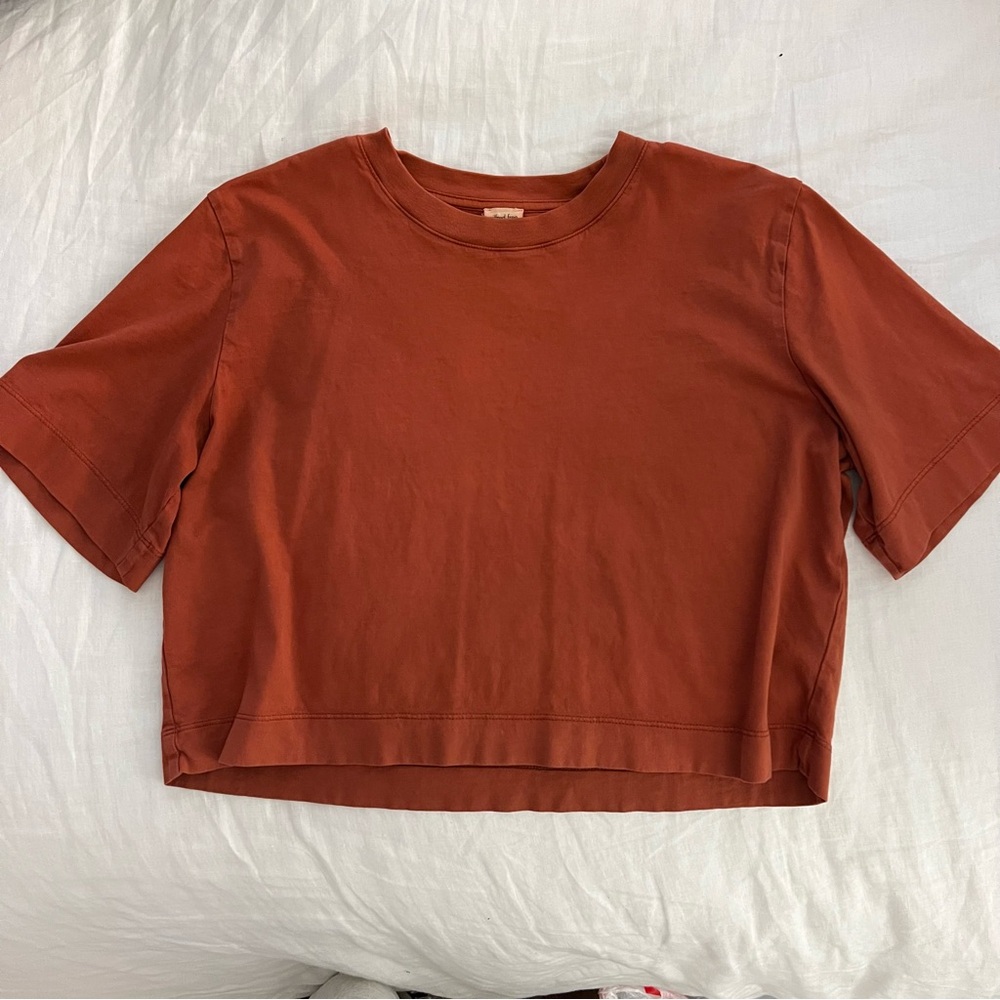 Aritzia Boxy Crop T-Shirt in Rust
